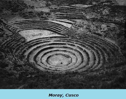 Moray-ranney-6